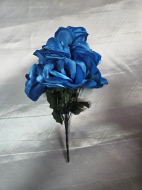 Buchete trandafiri mari 7 capete